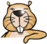 Biber Informatik Wettbewerb