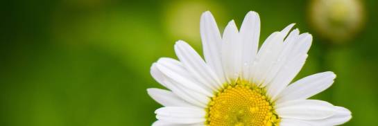 Bei uns steht der Mensch im Mittelpunkt!