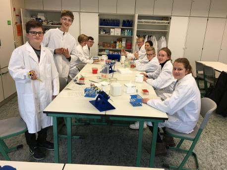 Profis bei der Arbeit